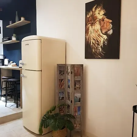 Le J&j Spacieux Climatise En Centre דירה