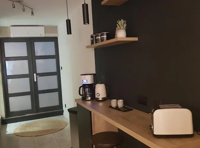 Le J&j Spacieux Climatise En Centre Διαμέρισμα *