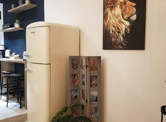 Le J&j Spacieux Climatise En Centre Διαμέρισμα