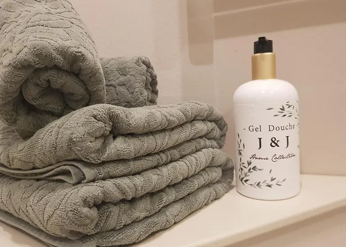 Διαμέρισμα Le J&j Spacieux Climatise En Centre *